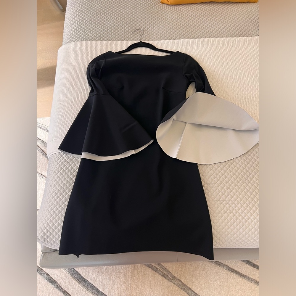Black dress with dramatic sleeves